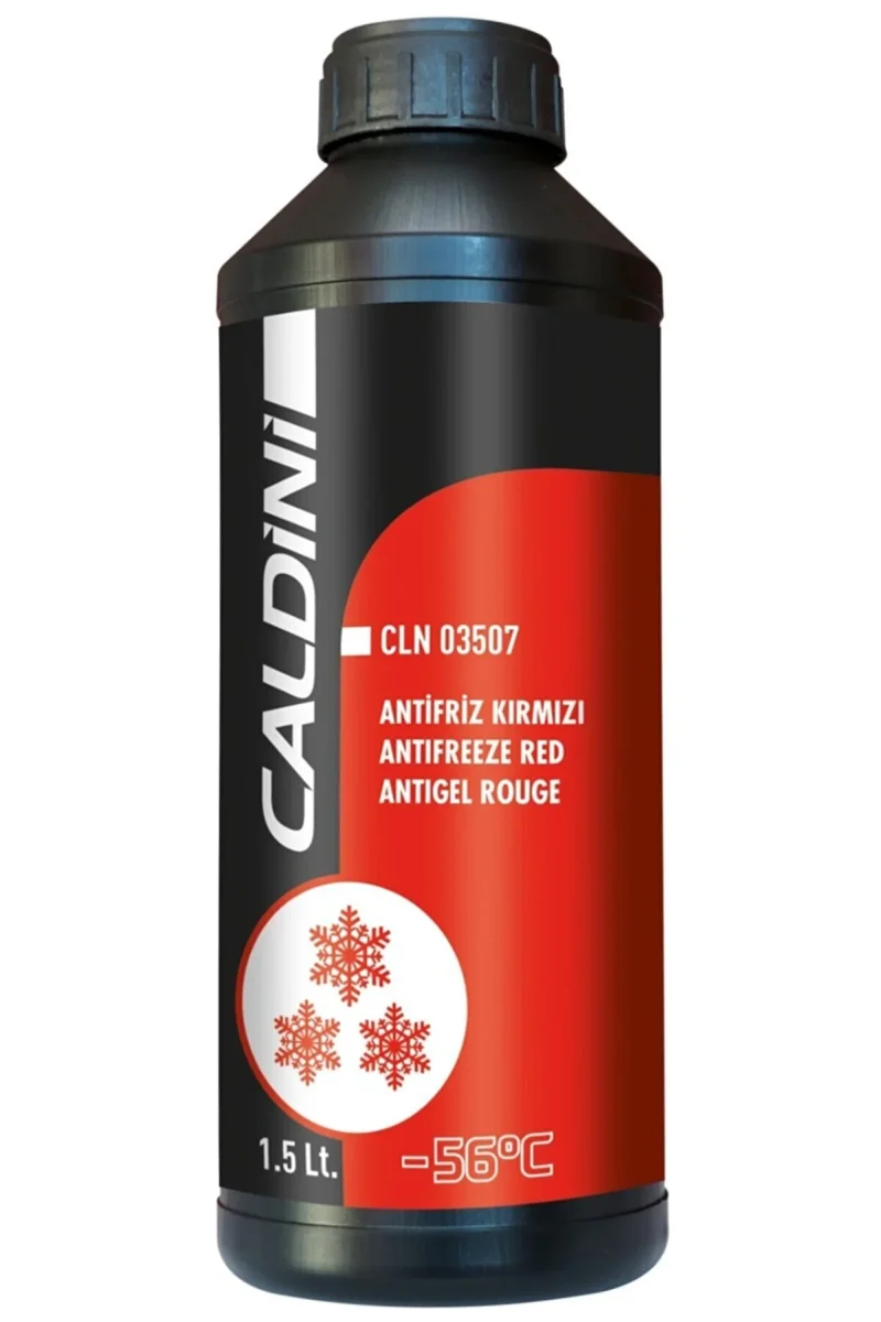 g12 caldini